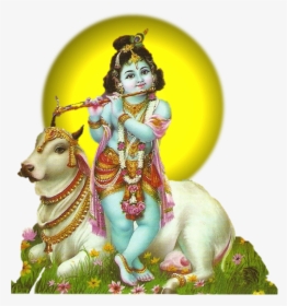 Krishna Janmashtami - Krishna With Cow Png, Transparent Png, Transparent PNG