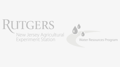 Rutgers Logo - Graphic Design, HD Png Download, Transparent PNG