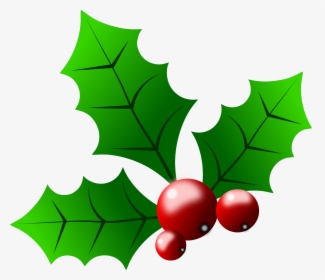 Transparent Holly Clipart, HD Png Download, Transparent PNG