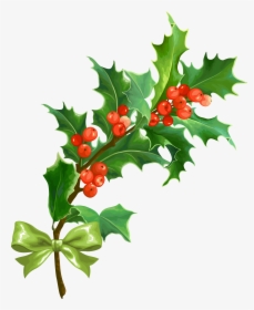 Christmas Holly Leaf - Christmas Holly Leaf Png, Transparent Png, Transparent PNG