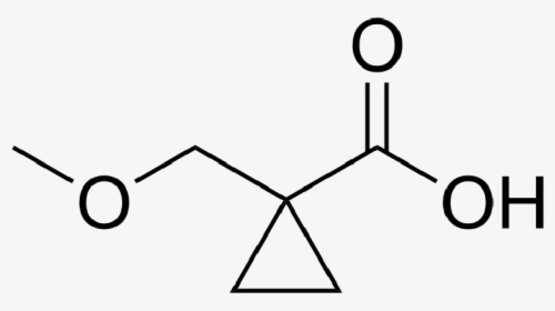 1 Cyclopropane 1 Carboxylic Acid - 2 Aminopropanoic Acid Structure, HD Png Download, Transparent PNG