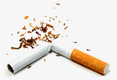Broken Cigarette Png Image - Alcohol And Tobacco Preventions, Transparent Png, Transparent PNG