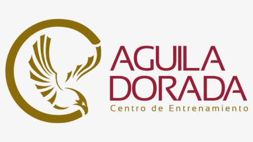 Logo Aguila Dorada Png , Png Download - Illustration, Transparent Png, Transparent PNG
