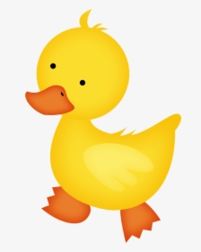 Farm Duck Png - Baby Duck Clipart, Transparent Png, Transparent PNG