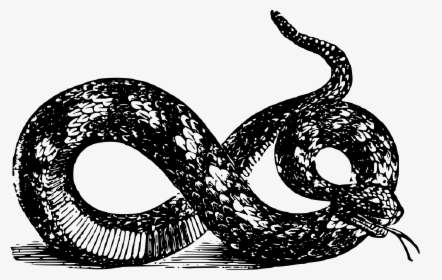 Viper Clipart 2 Snake - Gadsden Flag Black And White Hd, HD Png Download, Transparent PNG