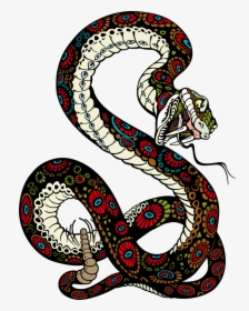 Tiger Lion Vector Snake Illustration Free Transparent - Snake And Tiger, HD Png Download, Transparent PNG
