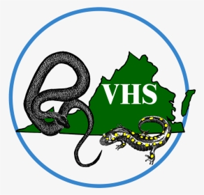Grass Snake - Virginia Herp Society, HD Png Download, Transparent PNG