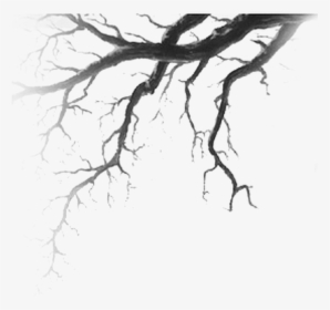 #tree #branch #vains - Branches Drawing, HD Png Download, Transparent PNG