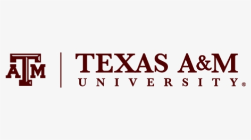Tam Primary Mark B - Logo Texas A&m College Station, HD Png Download, Transparent PNG