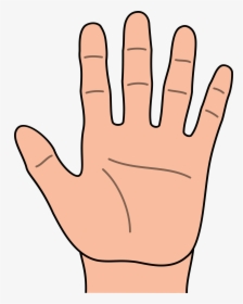 Touch Hand Clipart - Hand Clipart, HD Png Download, Transparent PNG