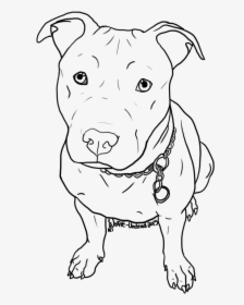 American Pit Bull Terrier Puppy Drawing - Cute Pitbull Drawing Easy, HD Png Download, Transparent PNG