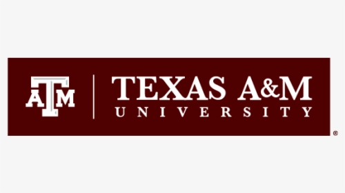 Tam Primary Mark A - Texas A&m University At Qatar Logo, HD Png Download, Transparent PNG
