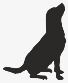 Whiskers American Pit Bull Terrier Drawing Clip Art - Dog, HD Png Download, Transparent PNG