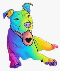#dog #pitbull #rainbowcolors #lovedogs #lovepitbull, HD Png Download, Transparent PNG