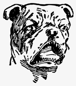 Pitbull Clipart Spiked Collar - Angry Bulldog Png, Transparent Png, Transparent PNG