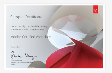 Adobe Certified Associate Certificate, HD Png Download, Transparent PNG