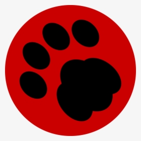 Circle, HD Png Download, Transparent PNG