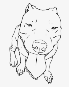 American Pit Bull Terrier Bulldog Drawing Line Art - Easy American Bulldog Drawings, HD Png Download, Transparent PNG