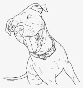 Clip Art Pitbull Puppies Drawing - Pitbull Coloring Book, HD Png Download, Transparent PNG