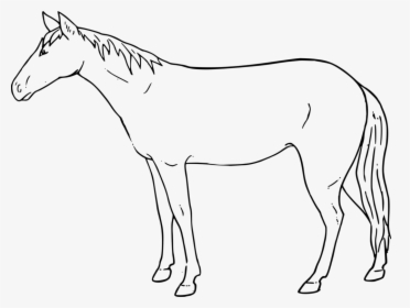 Pony,horse Tack,colt - Horse Standing Sketch Easy, HD Png Download, Transparent PNG