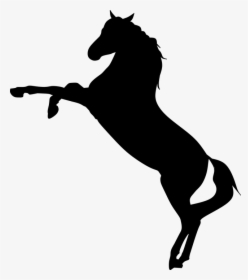 Horse, Wild, Mustang, Rearing, Racer, Silhouette - Mustang Horse Silhouette Png, Transparent Png, Transparent PNG