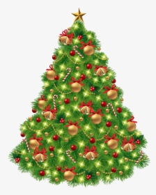 Transparent Background Christmas Tree Clipart, HD Png Download, Transparent PNG