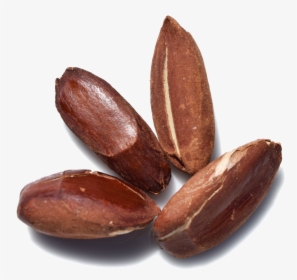Nuts & Seeds, HD Png Download, Transparent PNG