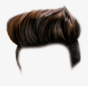 Cb Hair Png Download Free For Photo Editing Latest - Hair Png Hd, Transparent Png, Transparent PNG