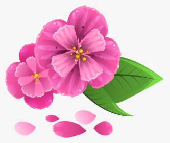 Pink Flowers Petal Clip Art - Flowers And Petals Png, Transparent Png, Transparent PNG