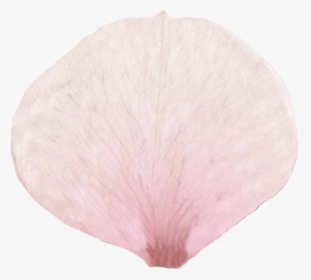 Flower Petal Texture - Heart, HD Png Download, Transparent PNG