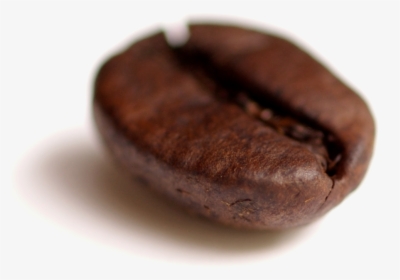 Coffee Bean Transparent - Single Coffee Beans Png, Png Download, Transparent PNG