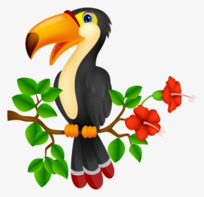 Tropical Birds Cartoon , Transparent Cartoons - Birds Cartoon, HD Png Download, Transparent PNG