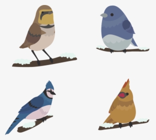Bird Winter Euclidean Vector - Mountain Bluebird, HD Png Download, Transparent PNG