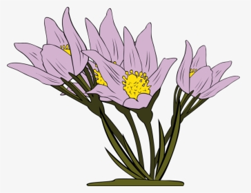Iris Family,plant,flower - Flowers Clipart, HD Png Download, Transparent PNG