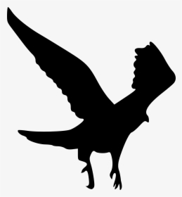 Bird Clip Art - Silhouette Wedge Tail Eagle, HD Png Download, Transparent PNG