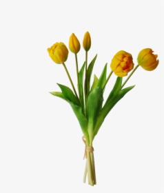 Yellow Tulips Png Transparent Image - Tulip 5, Png Download, Transparent PNG