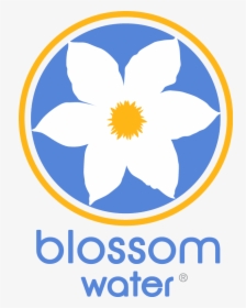 Blossom Water - Blossom Water Logo, HD Png Download, Transparent PNG