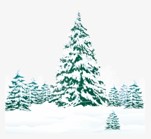 Snowy Winter Ground With Trees Png Clipart Image - Snowy Pine Tree Clipart Transparent, Png Download, Transparent PNG