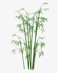 Bamboo Plants Png - Transparent Bamboo Png, Png Download, Transparent PNG