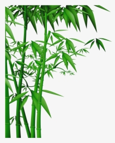 Transparent Bamboo Vector Png - Bamboo Tree Vector Png, Png Download, Transparent PNG