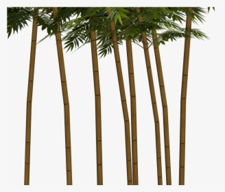 Bamboo Plant Wellness Png Image - Bambuträd Png, Transparent Png, Transparent PNG