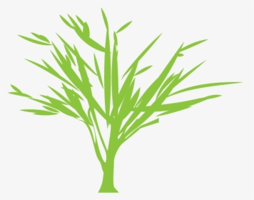 Tree Silhouette Euclidean Vector Green - Vector Graphics, HD Png Download, Transparent PNG