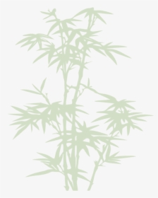 #bamboo #tree #shadow #green #cherryatelier #freetoedit - Bamboo, HD Png Download, Transparent PNG