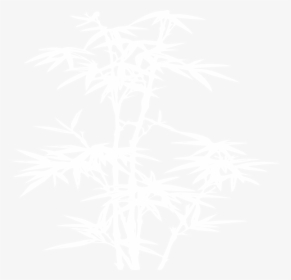 Bamboo White And Black, HD Png Download, Transparent PNG