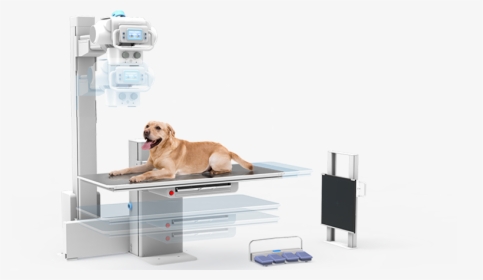 Dog X Ray Machine, HD Png Download, Transparent PNG