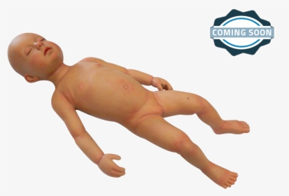 Infant Manikin For Medical Training - Transparent Anatomical Manikin, HD Png Download, Transparent PNG