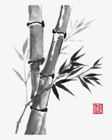 Drawn Bamboo Kawayan - Chinese Bamboo Drawing, HD Png Download, Transparent PNG