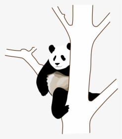 Panda On A Tree Clipart - Panda Clip Art, HD Png Download, Transparent PNG