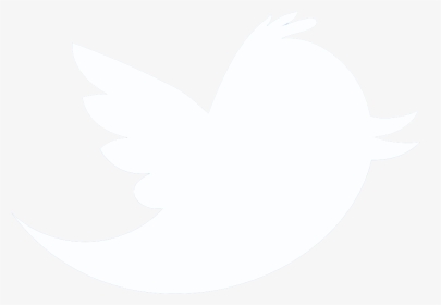 Thumb Image - Black White Twitter Logo, HD Png Download, Transparent PNG