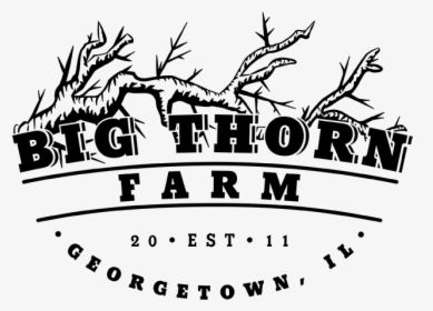Big Thorn Farm Logo - Mks Czarni Jelcz Laskowice, HD Png Download, Transparent PNG
